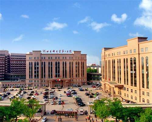 探究乌克兰精液优化手术的费用与流程