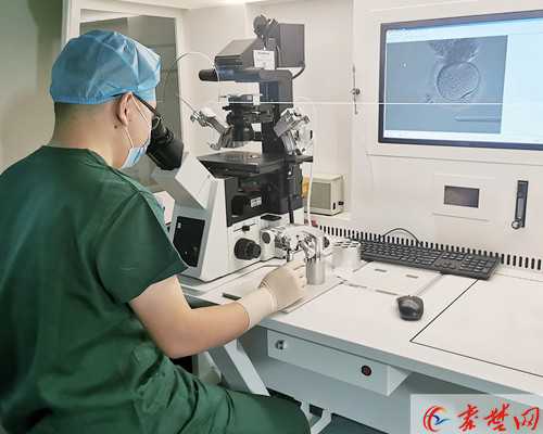 解析乌克兰供卵代孕全流程及人工受孕费用概览