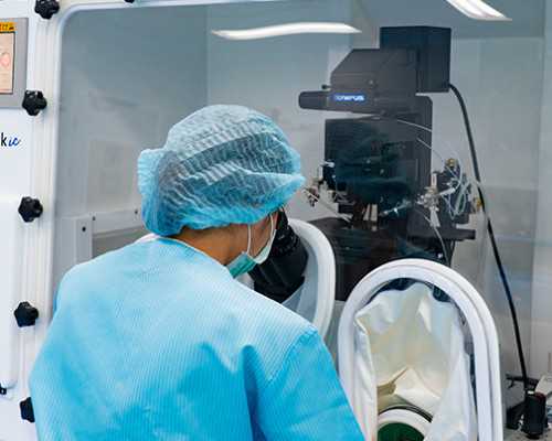 乌克兰冻卵费用指南及相关考量