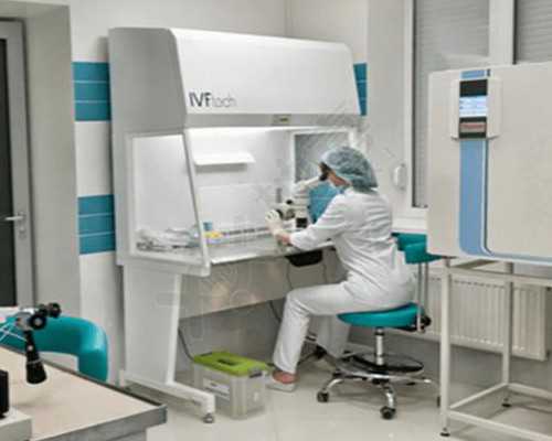 乌克兰供卵助孕费用揭秘：细致解析，助您了解乌克兰试管成本