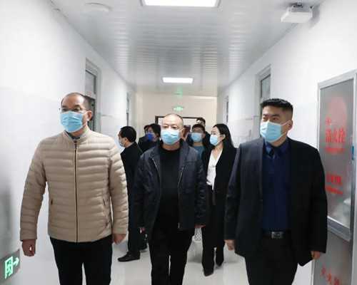 寻求专业助孕服务：费用与流程解析